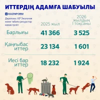 Численность бездомных животных - фото 2