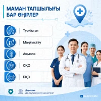 Number of Healthcare Workers in Kazakhstan - photo 3