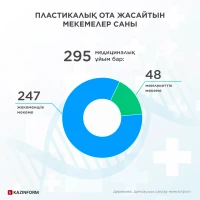 Number of Clinics Performing Plastic Surgery - photo 1