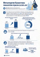 Kazakhstan's Metallurgy: Industry Performance Over the Past Five Years - photo 4