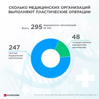 Number of Clinics Performing Plastic Surgery - photo 3