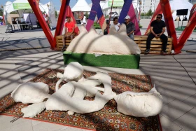 Астанада "Gul Astana" гүл фестивалі өтті - фото 15