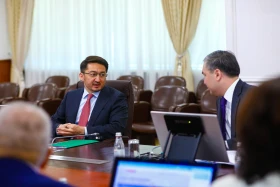 Премьер-министр поручил ускорить запуск производства электромобилей в Казахстане - фото 4