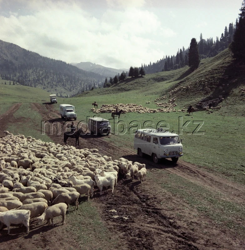 Жазғы жайылымдағы малшыларға дәрігерлер бригадасының келуі 1982 жыл - фото 1