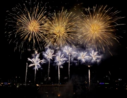 Алматыда халықаралық отшашу фестивалі өтті - фото 2