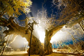 Түркістан облысында туристерді қызықтыратын қандай жерлер бар? - фото 17