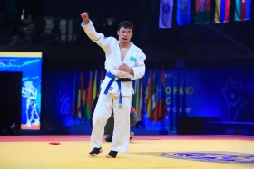 Астанада өткен қоян-қолтық ұрыстан Әлем чемпионатында қазақстандықтар 21 алтын медаль иеленді - фото 11