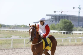 Елорданың 25 жылдығына орай бәйгеден республикалық турнир өтті - фото 2