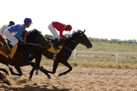 Елорданың 25 жылдығына орай бәйгеден республикалық турнир өтті - фото 6