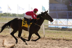 Елорданың 25 жылдығына орай бәйгеден республикалық турнир өтті - фото 12