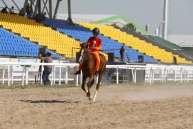 Елорданың 25 жылдығына орай бәйгеден республикалық турнир өтті - фото 18