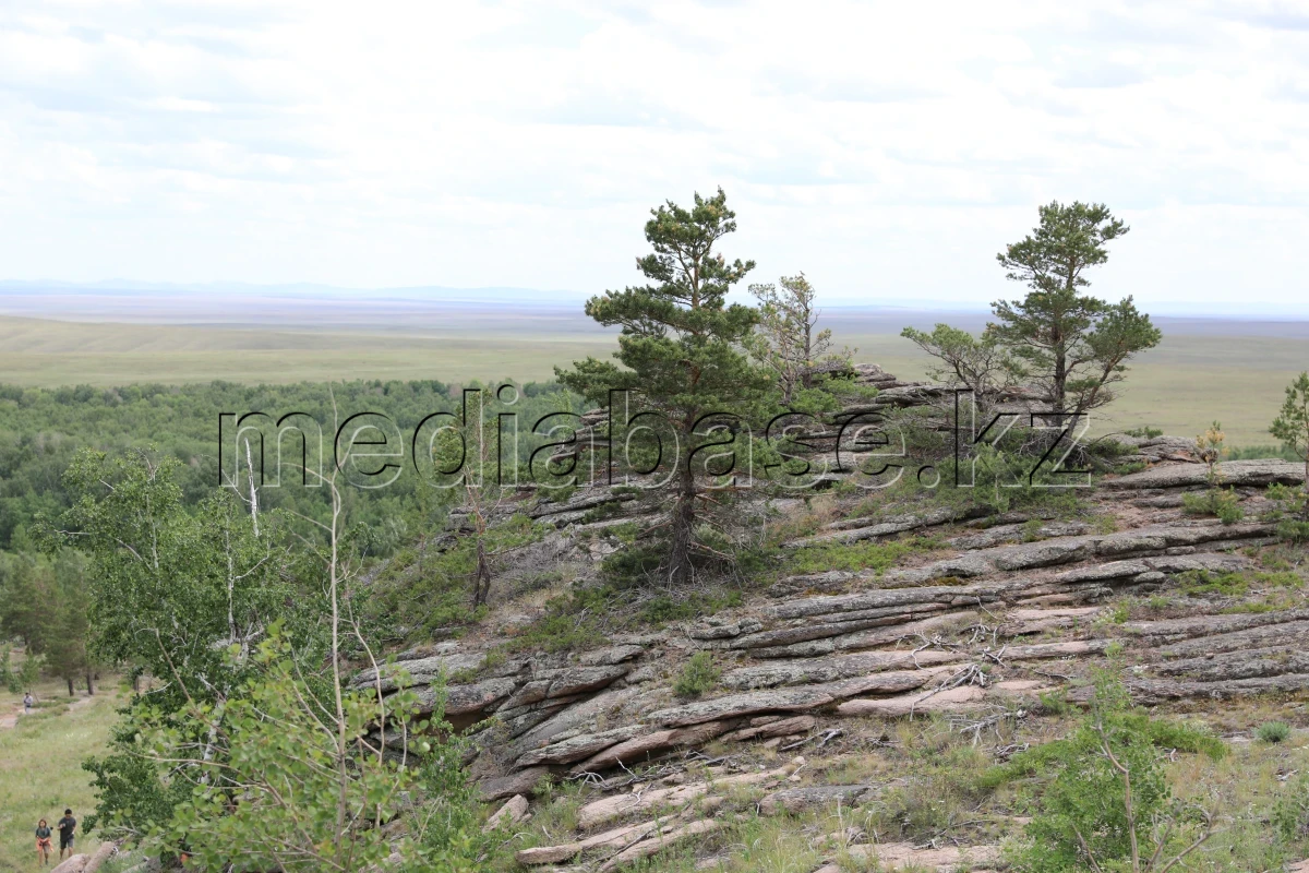 Демалыс күнгі турларға қызығушылық артып келеді - фото 1