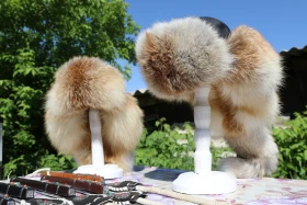 Демалыс күнгі турларға қызығушылық артып келеді - фото 5