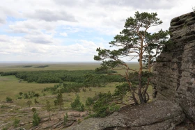 Демалыс күнгі турларға қызығушылық артып келеді - фото 14