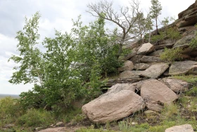 Демалыс күнгі турларға қызығушылық артып келеді - фото 20