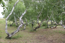 Демалыс күнгі турларға қызығушылық артып келеді - фото 21