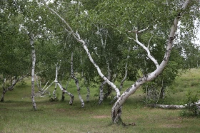 Демалыс күнгі турларға қызығушылық артып келеді - фото 22