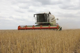 Диқан жұмысы суреттерде - фото 1