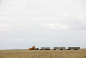 Диқан жұмысы суреттерде - фото 2