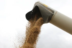 Диқан жұмысы суреттерде - фото 3