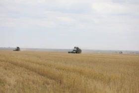 Диқан жұмысы суреттерде - фото 4