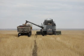 Диқан жұмысы суреттерде - фото 5