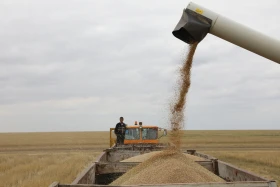 Диқан жұмысы суреттерде - фото 6