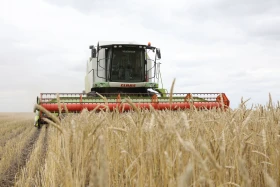 Диқан жұмысы суреттерде - фото 8