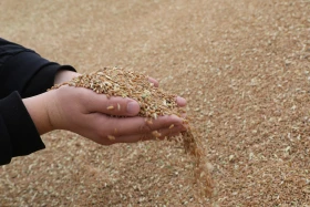 Диқан жұмысы суреттерде - фото 9