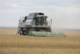 Диқан жұмысы суреттерде - фото 10