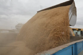 Диқан жұмысы суреттерде - фото 13