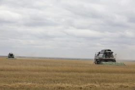 Диқан жұмысы суреттерде - фото 14