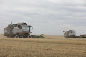 Диқан жұмысы суреттерде - фото 16