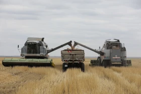 Диқан жұмысы суреттерде - фото 19