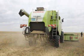 Диқан жұмысы суреттерде - фото 21