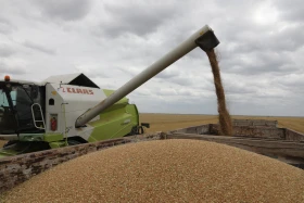 Диқан жұмысы суреттерде - фото 22