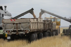 Диқан жұмысы суреттерде - фото 23