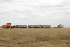 Диқан жұмысы суреттерде - фото 24