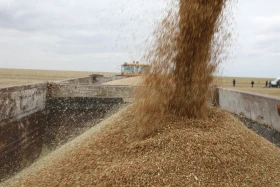 Диқан жұмысы суреттерде - фото 25