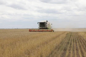 Диқан жұмысы суреттерде - фото 26