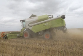 Диқан жұмысы суреттерде - фото 27