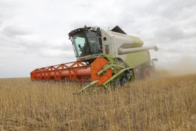 Диқан жұмысы суреттерде - фото 28