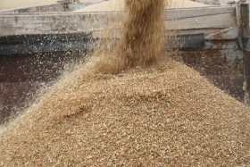 Диқан жұмысы суреттерде - фото 29