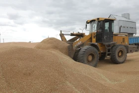 Диқан жұмысы суреттерде - фото 30