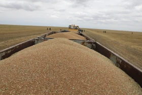 Диқан жұмысы суреттерде - фото 31