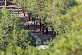 2021 Қазақстандағы ішкі туризм: Қазақстандықтарға Бурабайға қарағанда Зеренді қолжетімді - фото 2