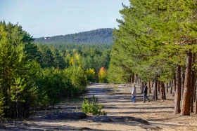 2021 Қазақстандағы ішкі туризм: Қазақстандықтарға Бурабайға қарағанда Зеренді қолжетімді - фото 5