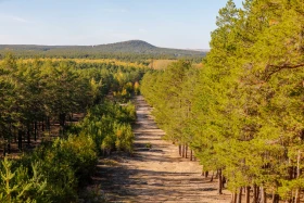 2021 Қазақстандағы ішкі туризм: Қазақстандықтарға Бурабайға қарағанда Зеренді қолжетімді - фото 9