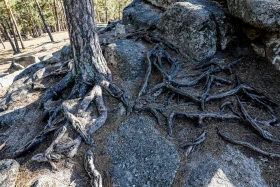 2021 Қазақстандағы ішкі туризм: Қазақстандықтарға Бурабайға қарағанда Зеренді қолжетімді - фото 11