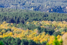 2021 Қазақстандағы ішкі туризм: Қазақстандықтарға Бурабайға қарағанда Зеренді қолжетімді - фото 12